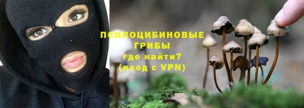 ALPHA PVP Долгопрудный