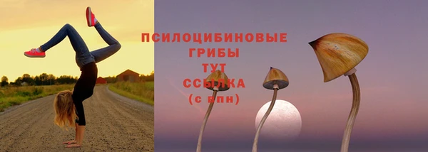 марихуана Новый Уренгой