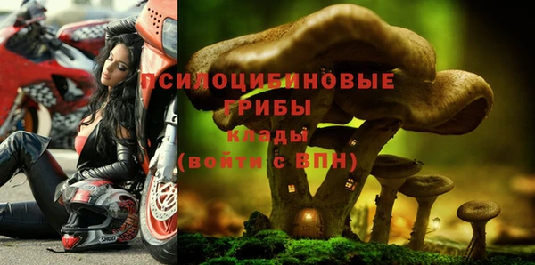 гидра Орехово-Зуево