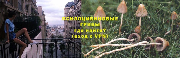 гидра Орехово-Зуево