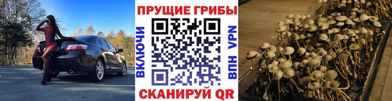 Галлюциногенные грибы мухоморы  Дегтярск 